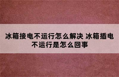 冰箱接电不运行怎么解决 冰箱插电不运行是怎么回事